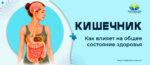 кишечник